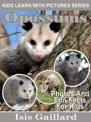 cover image of Opossums Photos and Fun Facts for Kids